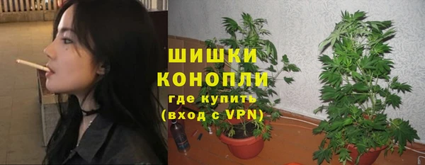 ГАЛЛЮЦИНОГЕННЫЕ ГРИБЫ Бородино