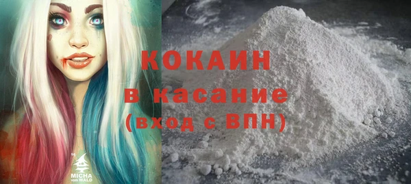 ГАЛЛЮЦИНОГЕННЫЕ ГРИБЫ Бородино