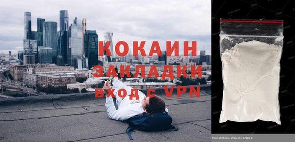 ГАЛЛЮЦИНОГЕННЫЕ ГРИБЫ Бородино