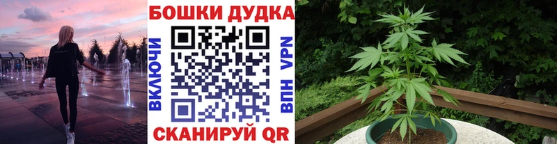 МАРИХУАНА конопля  Дудинка 